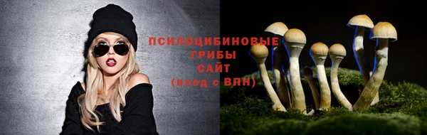 apvp Бронницы